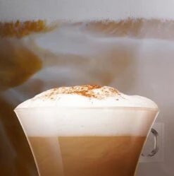 Nescafé Dolce Gusto Cappuccino Capsules - 90 Koffiecups -Koffiedrank Winkel 1190x1200 9