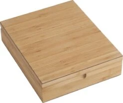 Bredemeijer - Theedoos 9-vaks Gesloten Bamboe Natural -Koffiedrank Winkel 1200x1007