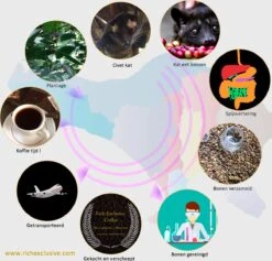 Kopi Luwak Koffie. 35 Gram Ongemalen Bonen. Direct Trade. Single Origin. The Original By Rich.Exclusive. -Koffiedrank Winkel 1200x1153 3