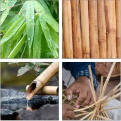 Relaxdays Theedoos 5 Vaks - Theekist - Theezakjeshouder - Bamboe - Voor Ca. 10 Theezakjes -Koffiedrank Winkel 1200x1200 534