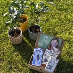 T-Sac Theefilters No.1 -Koffiedrank Winkel 1200x1200 585