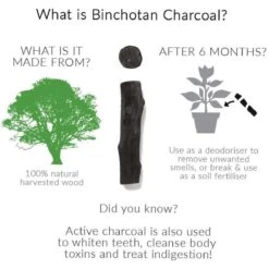 Black + Blum Binchotan Active Charcoal For Eau Good Water Bottles 4-pack -Koffiedrank Winkel 1200x1200 93