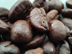 Voordeelpakket: Den Leeuw Lungo (80 Koffiecups) - Roast Koffiecups - Echte Hollandsche Koffie Van Den Leeuw In Nespresso Cups - Nespresso Compatibele Koffie Cups -Koffiedrank Winkel 1200x900 22