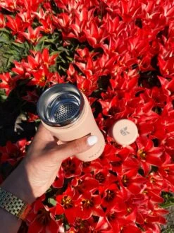 Retulp - Tumbler Thermosbeker – Champagne Pink – 300 Ml - Thermosfles - Roze -Koffiedrank Winkel 899x1200 1